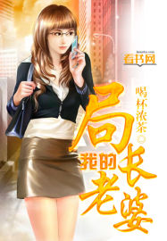 我的局长老婆封面