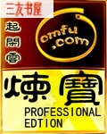 炼宝专家 炼宝专家