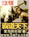 霸道天下 霸道天下