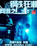 网游之钢铁狂潮 网游之钢铁狂潮
