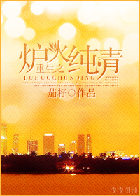 重生之炉火纯青 重生之炉火纯青