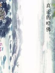 真正的哈佛 真正的哈佛
