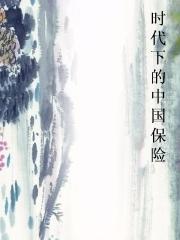 时代下的中国保险 时代下的中国保险