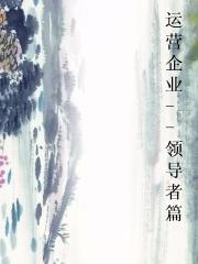 运营企业--领导者篇 运营企业--领导者篇