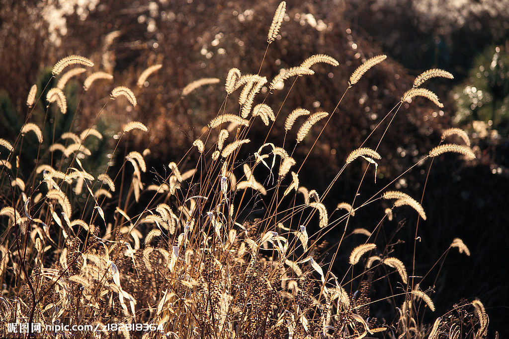 武林往事 武林往事