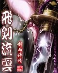飞剑流云封面