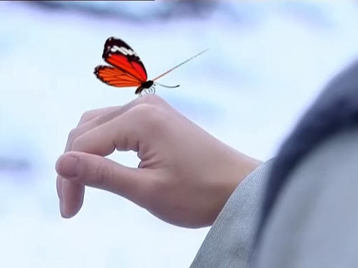 大漠谣 大漠谣