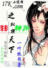 谍影神州之纵横天下封面