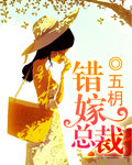 错嫁总裁 错嫁总裁