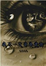 我不一定非要爱你 我不一定非要爱你