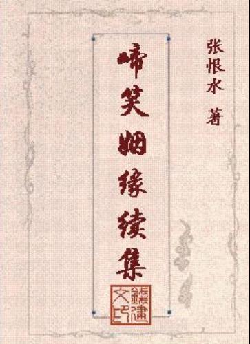 啼笑姻缘续集 啼笑姻缘续集
