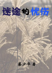 迷途的忧伤 迷途的忧伤