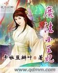魔法小王妃 魔法小王妃