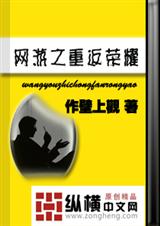 网游之重返荣耀 网游之重返荣耀