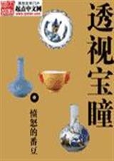 透视宝瞳 透视宝瞳