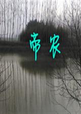 帝农 帝农