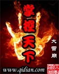 掌控天下 掌控天下
