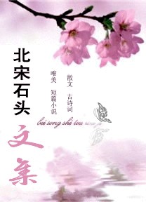 北宋石头文集 北宋石头文集