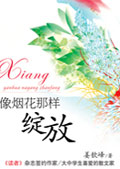 像烟花那样绽放 像烟花那样绽放