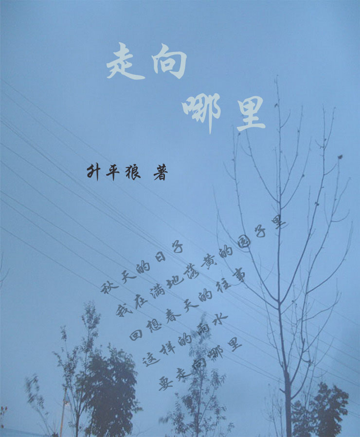 走向哪里 走向哪里
