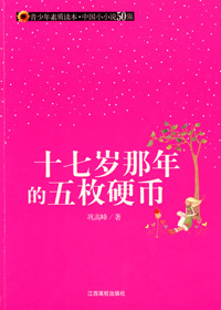 十七岁那年的五枚硬币 十七岁那年的五枚硬币