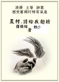 农村,请给我翅膀 农村,请给我翅膀