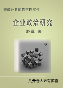 企业政治研究 企业政治研究