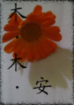 木·木·安 木·木·安