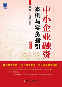 壮大资本:中小企业融资案例与实务指引 壮大资本:中小企业融资案例与实务指引