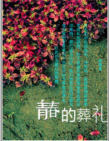 青春的葬礼 青春的葬礼