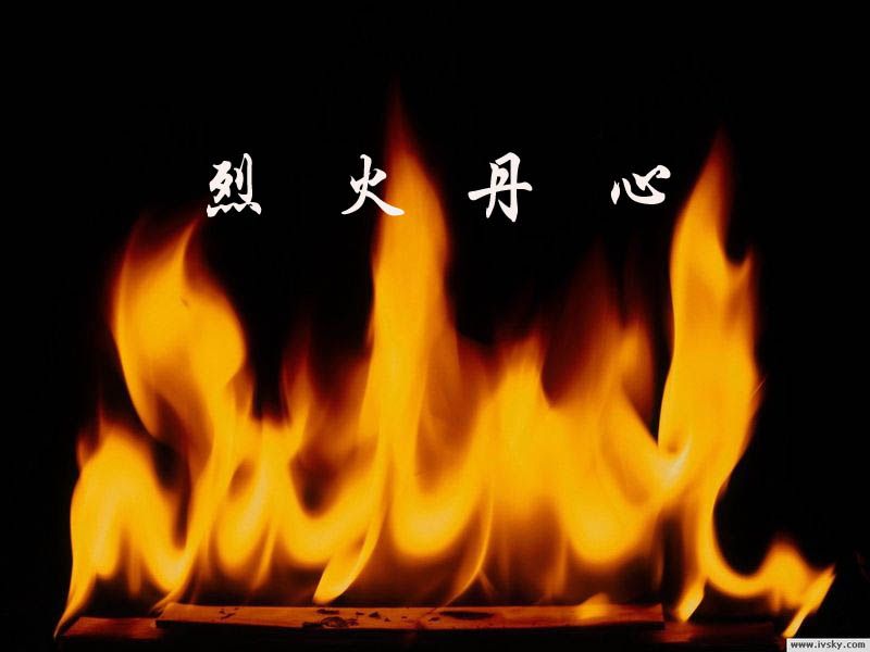 烈火丹心 烈火丹心