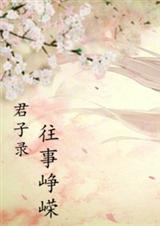 君子录之往事峥嵘 君子录之往事峥嵘