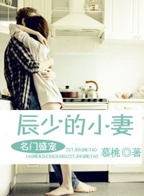 名门盛宠之辰少的小妻 名门盛宠之辰少的小妻