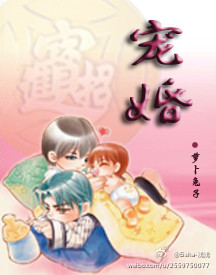 宠婚 宠婚