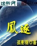 凤逐 凤逐