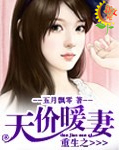重生之天价暖妻 重生之天价暖妻