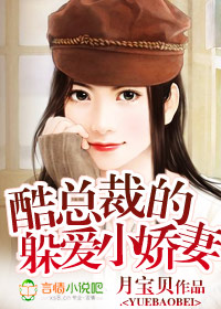 酷总裁的躲爱小娇妻 酷总裁的躲爱小娇妻