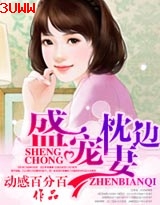 盛宠枕边妻 盛宠枕边妻