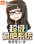 ��������ϵͳ