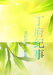 丁府纪事 丁府纪事