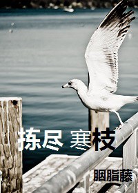 拣尽寒枝 拣尽寒枝