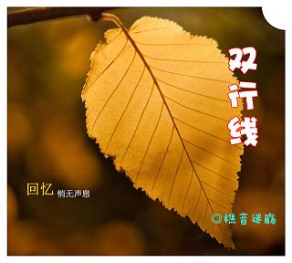 双行线 双行线