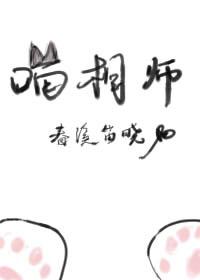 喵相师 喵相师