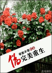 伪完美重生 伪完美重生